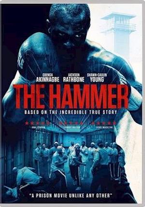 Hammer, the DVD - The DVD Hammer - Filmy - ACP10 (IMPORT) - 0843501033364 - 5 maja 2020