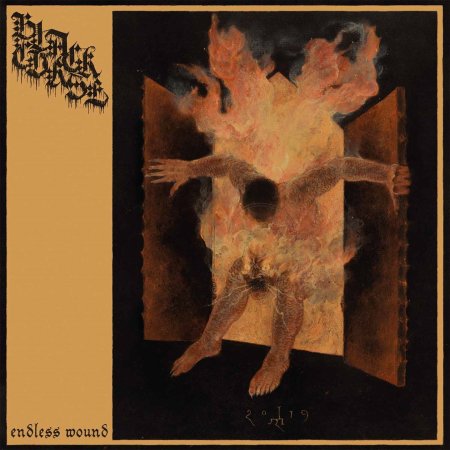 Cover for Black Curse · Endless Wound (LP) (2024)
