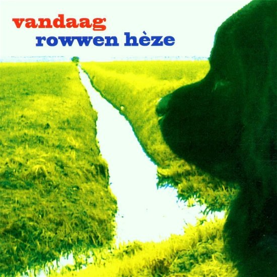 Cover for Rowwen Heze · Rowwen Heze - Vandaag (LP) (2021)