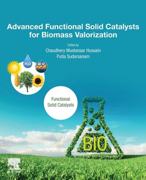 Cover for Advanced Functional Solid Catalysts for Biomass Valorization (Paperback Book) (2020)