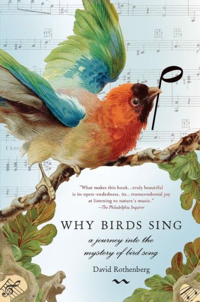 Why Birds Sing: A Journey Into the Mystery of Bird Song - David Rothenberg - Książki - Basic Books - 9780465071364 - 4 kwietnia 2006