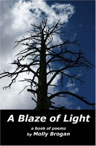 Cover for Molly Brogan · A Blaze of Light (Paperback Book) (2007)