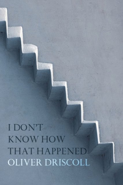 Cover for Oliver Driscoll · I Don't Know How That Happened (Paperback Book) (2020)