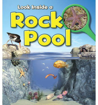 Rock Pool - Louise Spilsbury - Other - Capstone Global Library Ltd - 9781406251364 - April 10, 2014