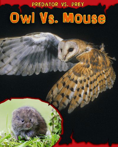 Owl vs. Mouse (Predator vs. Prey) - Mary Meinking - Książki - Read Me! - 9781410939364 - 2011