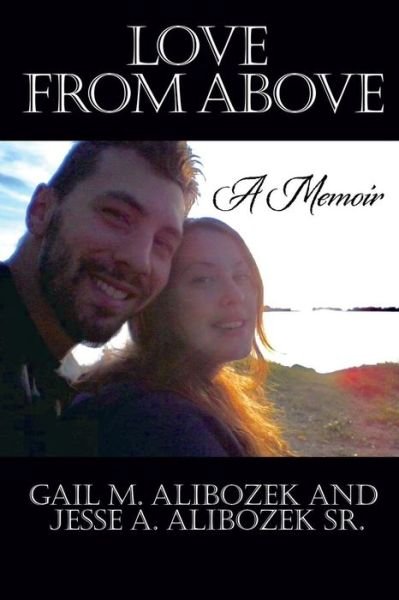 Cover for Gail M. Alibozek · Love from Above (Paperback Book) (2017)