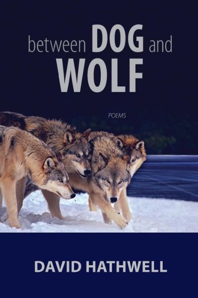 Between Dog and Wolf - David Hathwell - Książki - David Robert Books - 9781625492364 - 11 czerwca 2017