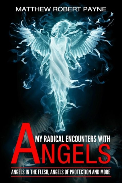 Cover for Matthew Robert Payne · My Radical Encounters with Angels (Paperback Book) (2017)