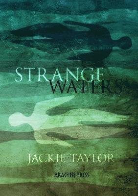 Cover for Jackie Taylor · Strange Waters (Paperback Book) (2021)
