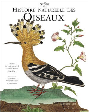 Cover for Collective · Buffon-histoire Naturelle Des Oiseaux: Illustree Par 1008 Gravures De Francois-nicolas Martinet (Hardcover Book) [French edition] (2007)