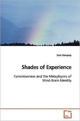 Cover for Liam Dempsey · Shades of Experience: Consciousness and the Metaphysics of Mind-brain Identity (Paperback Book) (2009)