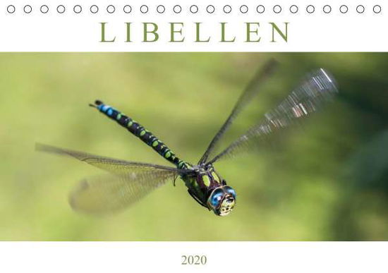 Cover for Lippmann · Libellen - Fliegende Edelstein (Book)