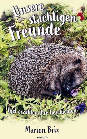 Unsere stachligen Freunde - Marion Brix - Livros - novum Verlag - 9783711603364 - 27 de janeiro de 2025