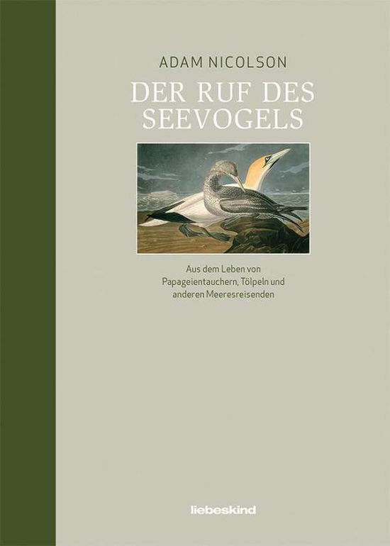 Cover for Adam Nicolson · Der Ruf des Seevogels (Hardcover Book) (2021)