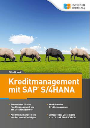 Cover for Breest Silke · Kreditmanagement mit SAP S/4HANA (Paperback Book) (2021)