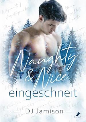 Cover for DJ Jamison · Naughty &amp; Nice - eingeschneit (Book) (2023)