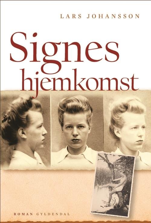 Signes hjemkomst - Lars Johansson - Bücher - Gyldendal - 9788702165364 - 31. Oktober 2014