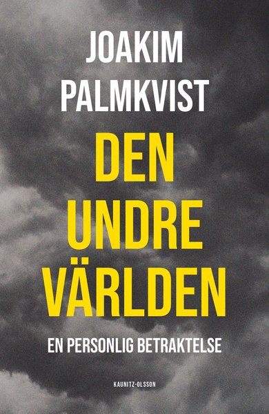 Den undre världen - Joakim Palmkvist - Książki - Kaunitz-Olsson - 9789189015364 - 18 września 2020