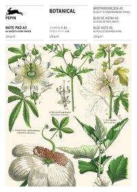Botanical: Note Pad A5 - Pepin Van Roojen - Livros - Pepin Press - 9789460093364 - 16 de setembro de 2019