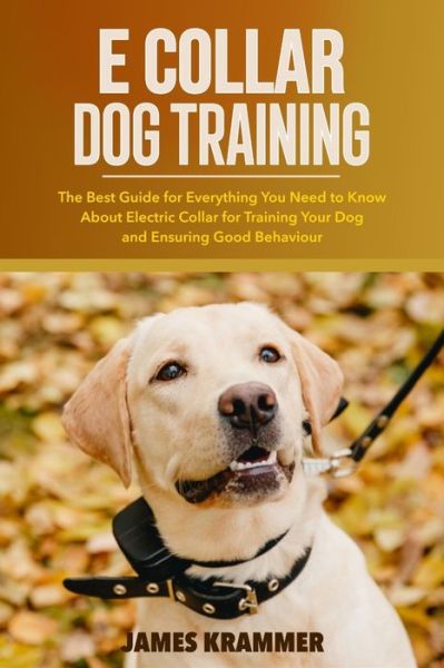 are e collars part of positive training dogs