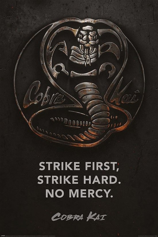 Cover for Cobra Kai · COBRA KAI - Metal - Poster 61 x 91cm (Toys)