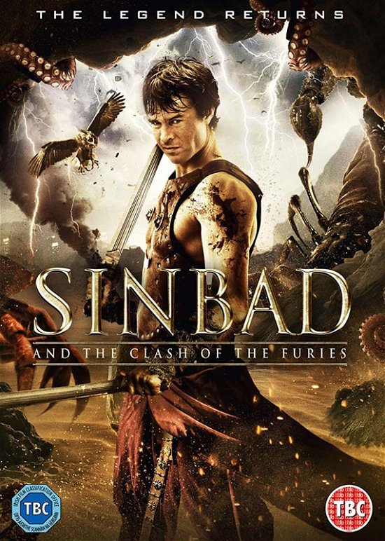 Cover for Sinbad and the Clash of the Fu · Sinbad And The Clash Of Furies (DVD) (2017)