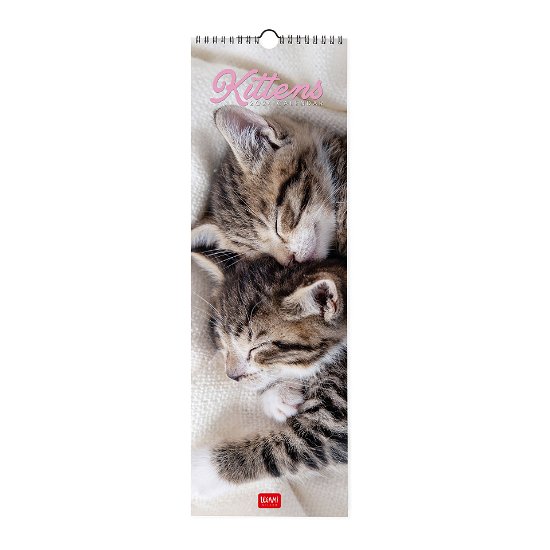Cover for Legami · Wall Calendars - 2024 Wall Calendar - Kittens - 16x49 - Cats (Paperback Book) (2023)