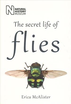 Cover for Erica McAlister · The Secret Life of Flies (Bound Book) (2016)