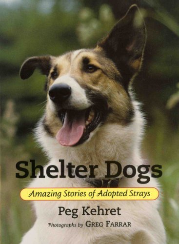 Cover for Peg Kehret · Shelter Dogs: Amazing Stories of Adopted Strays (Paperback Bog) (1999)