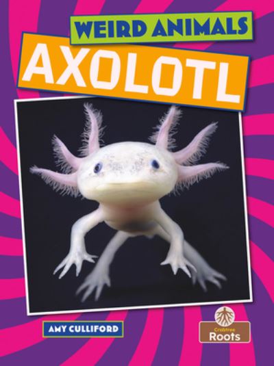 Axolotl - Amy Culliford - Books - Crabtree Publishing Company - 9781039810365 - November 27, 2023