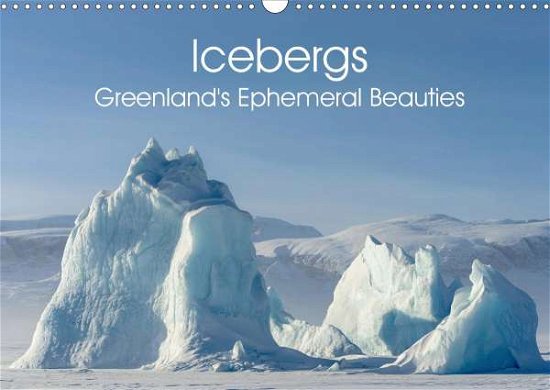 Cover for Zwick · Icebergs - Greenland's Ephemeral (Buch)