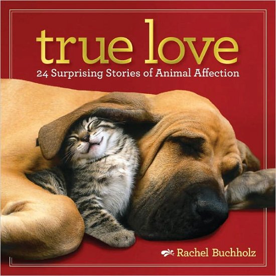 Cover for Rachel Buchholz · True Love: 24 Surprising Stories of Animal Affection (Hardcover Book) (2013)