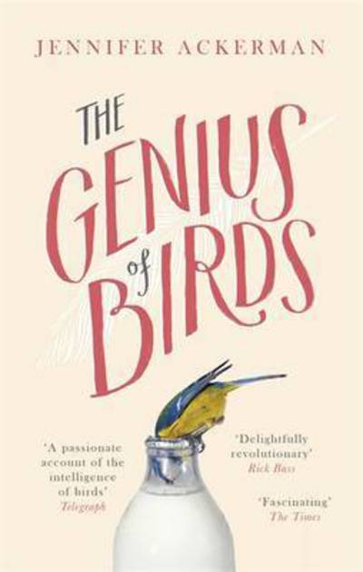 Cover for Jennifer Ackerman · The Genius of Birds (Paperback Bog) (2017)