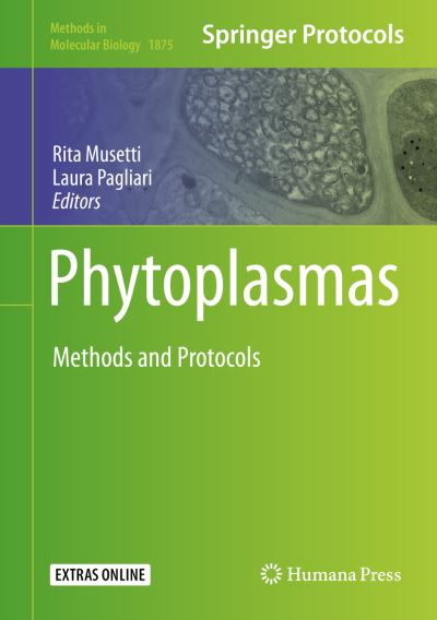 Cover for Phytoplasmas (Book) [1st ed. 2019 edition] (2018)
