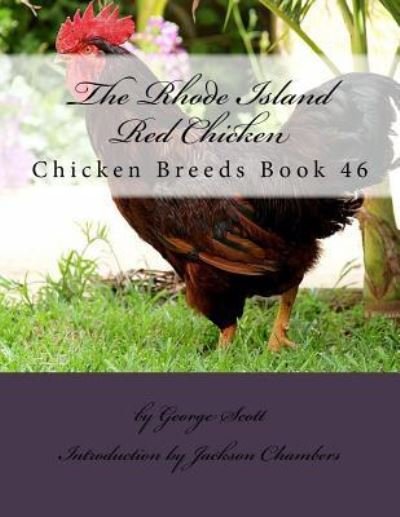 The Rhode Island Red Chicken - George Scott - Books - Createspace Independent Publishing Platf - 9781536858365 - August 1, 2016