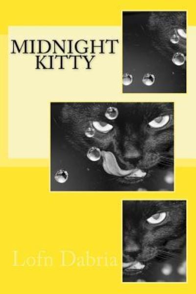 Cover for Lofn Dabria · Midnight Kitty (Paperback Book) (2016)