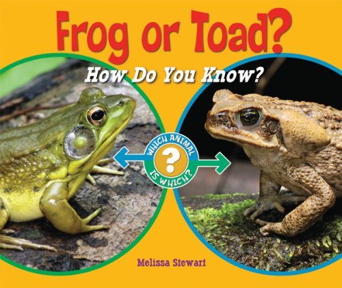 Cover for Melissa Stewart · Frog or Toad?: How Do You Know? (Which Animal is Which?) (Pocketbok) (2011)