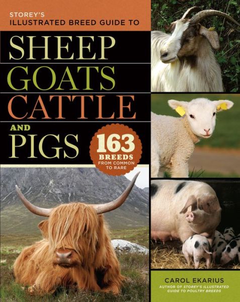 Storey's Illustrated Breed Guide to Sheep, Goats, Cattle and Pigs: 163 Breeds from Common to Rare - Carol Ekarius - Books - Workman Publishing - 9781603420365 - September 10, 2008