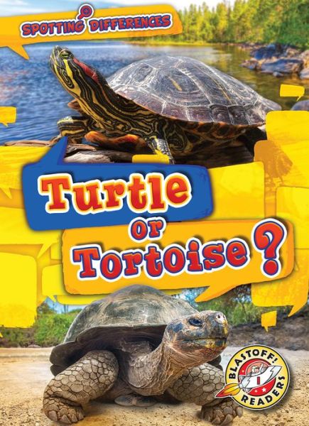 Cover for Kirsten Chang · Turtle or Tortoise (Hardcover Book) (2019)