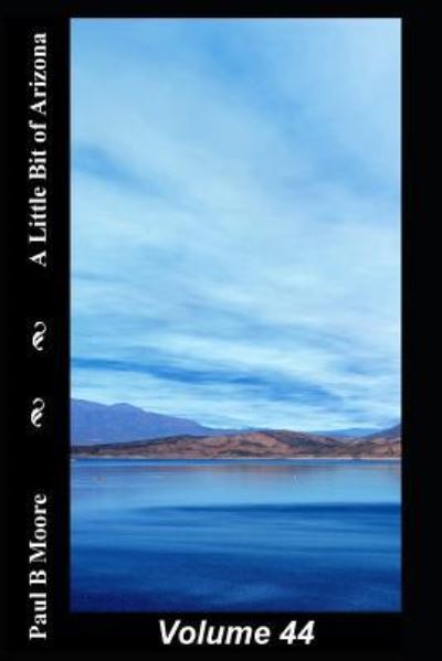 Cover for Paul Moore · A Little Bit of Arizona (Pocketbok) (2019)