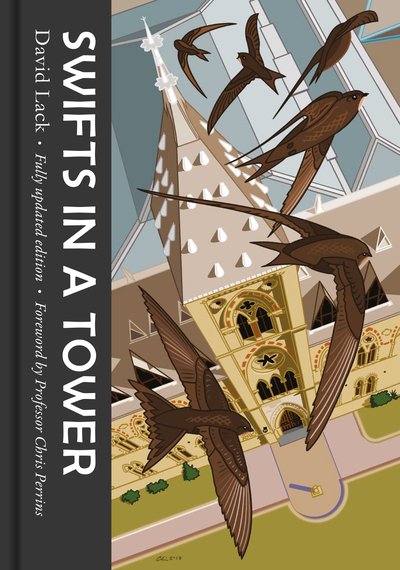 Cover for David Lack · Swifts in a Tower (Inbunden Bok) (2018)
