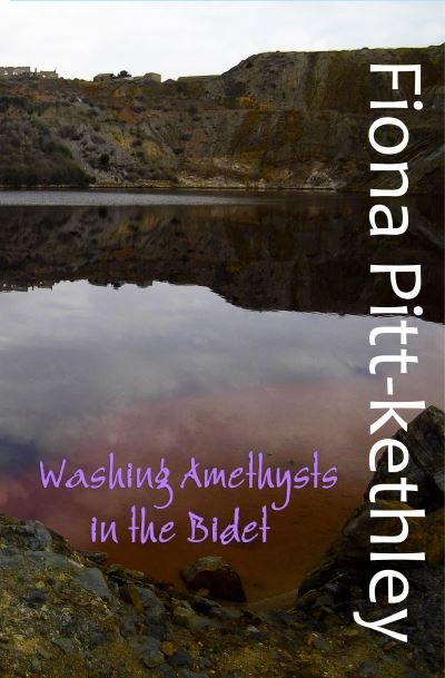 Cover for Fiona Pitt-Kethley · Washing Amethysts in the Bidet (Paperback Book) (2023)