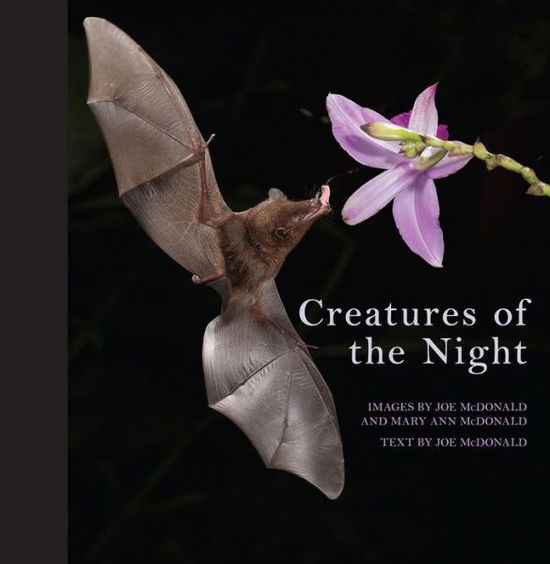 Cover for Joe Mcdonald · Creatures of the Night (Hardcover Book) (2015)