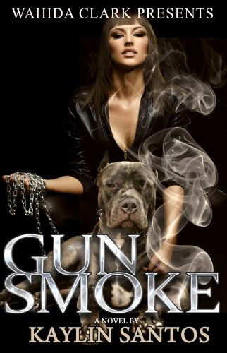 Cover for Kaylin Santos · Gun Smoke (Wahida Clark Presents) (Paperback Book) (2013)