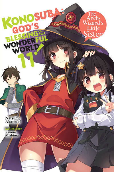 Cover for Natsume Akatsuki · Konosuba: God's Blessing on This Wonderful World!, Vol. 11 (light novel) (Paperback Book) (2020)