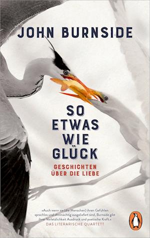 Cover for John Burnside · So etwas wie Glück (Bok) (2024)