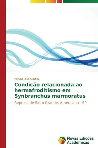 Cover for Renato José Gathaz · Condição Relacionada Ao Hermafroditismo Em Synbranchus Marmoratus: Represa De Salto Grande, Americana - Sp (Paperback Book) [Portuguese edition] (2015)