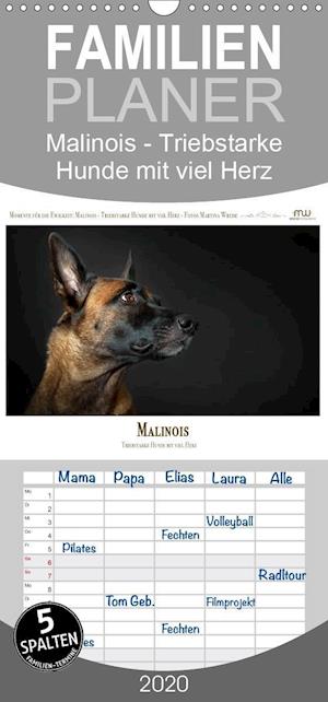 Cover for Wrede · Malinois - Triebstarke Hunde mit (Book)