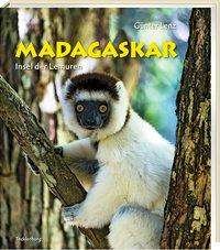 Cover for Lenz · Madagaskar (Book)