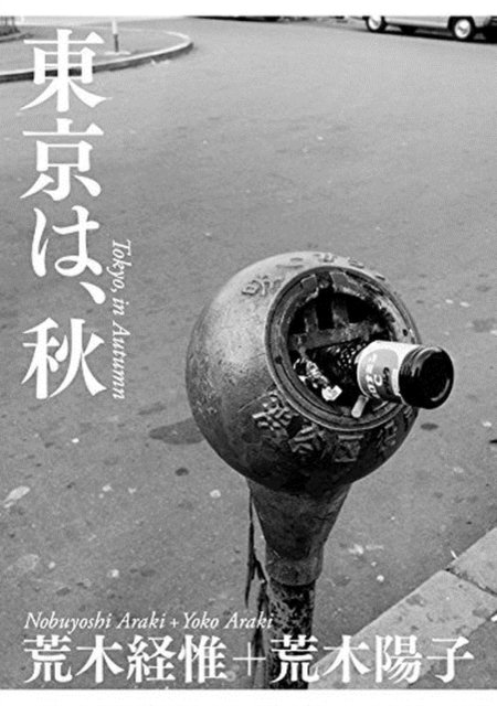 Cover for Nobuyoshi Araki · Tokyo in Autumn (Innbunden bok) (2017)